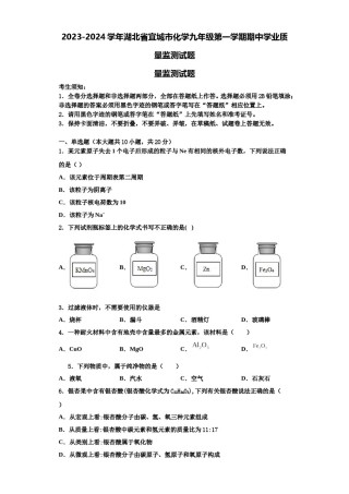 2023-2024学年湖北省宜城市化学九年级第一学期期中学业质量监测试题含解析.doc