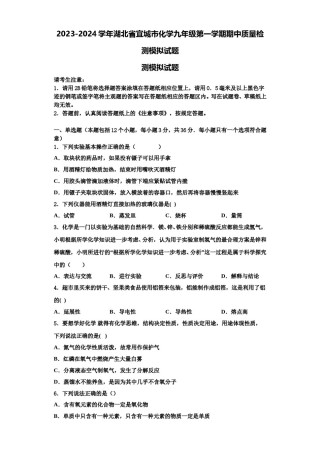 2023-2024学年湖北省宜城市化学九年级第一学期期中质量检测模拟试题含解析.doc