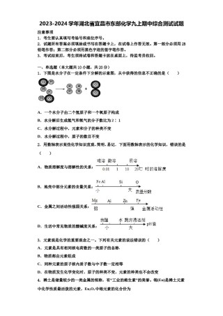 2023-2024学年湖北省宜昌市东部化学九上期中综合测试试题含解析.doc