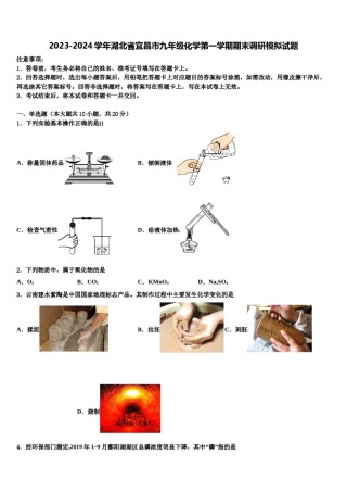 2023-2024学年湖北省宜昌市九年级化学第一学期期末调研模拟试题含解析.doc