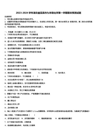 2023-2024学年湖北省宜昌市九年级化学第一学期期末预测试题含解析.doc