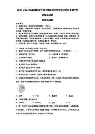 2023-2024学年湖北省宜昌市外国语初级中学化学九上期中经典模拟试题含解析.doc