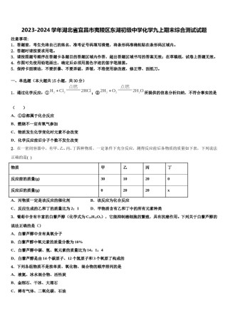 2023-2024学年湖北省宜昌市夷陵区东湖初级中学化学九上期末综合测试试题含解析.doc