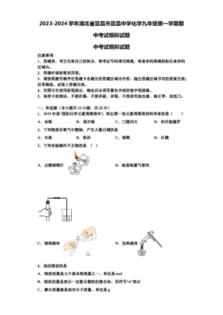 2023-2024学年湖北省宜昌市宜昌中学化学九年级第一学期期中考试模拟试题含解析.doc