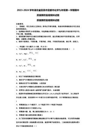2023-2024学年湖北省宜昌市宜都市化学九年级第一学期期中质量跟踪监视模拟试题含解析.doc