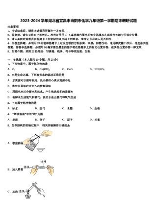 2023-2024学年湖北省宜昌市当阳市化学九年级第一学期期末调研试题含解析.doc