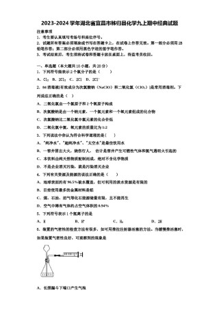 2023-2024学年湖北省宜昌市秭归县化学九上期中经典试题含解析.doc