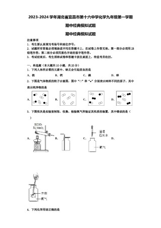 2023-2024学年湖北省宜昌市第十六中学化学九年级第一学期期中经典模拟试题含解析.doc