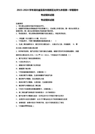 2023-2024学年湖北省宜昌市高新区化学九年级第一学期期中考试模拟试题含解析.doc