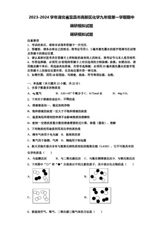 2023-2024学年湖北省宜昌市高新区化学九年级第一学期期中调研模拟试题含解析.doc