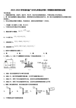 2023-2024学年湖北省广水市九年级化学第一学期期末调研模拟试题含解析.doc