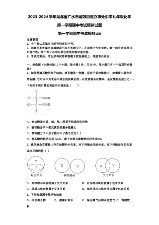 2023-2024学年湖北省广水市城郊街道办事处中学九年级化学第一学期期中考试模拟试题含解析.doc