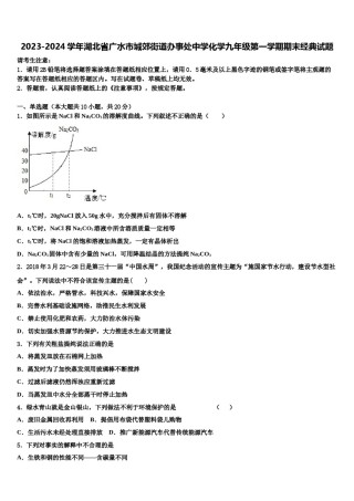 2023-2024学年湖北省广水市城郊街道办事处中学化学九年级第一学期期末经典试题含解析.doc