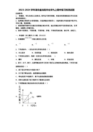 2023-2024学年湖北省当阳市化学九上期中复习检测试题含解析.doc