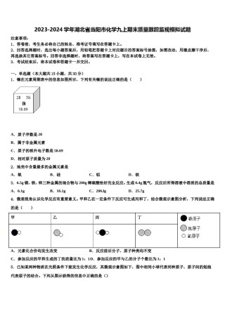 2023-2024学年湖北省当阳市化学九上期末质量跟踪监视模拟试题含解析.doc
