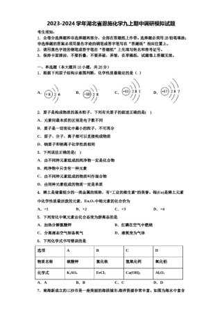 2023-2024学年湖北省恩施化学九上期中调研模拟试题含解析.doc