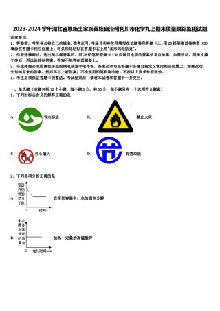 2023-2024学年湖北省恩施土家族苗族自治州利川市化学九上期末质量跟踪监视试题含解析.doc