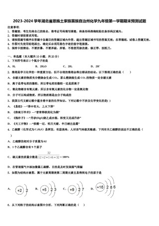 2023-2024学年湖北省恩施土家族苗族自治州化学九年级第一学期期末预测试题含解析.doc