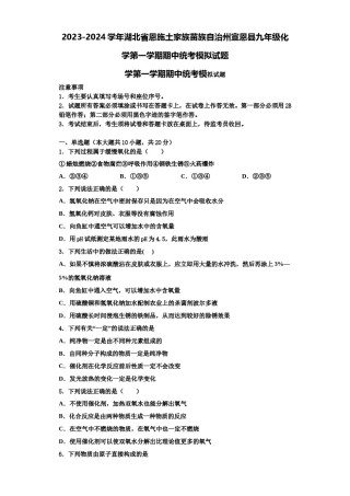 2023-2024学年湖北省恩施土家族苗族自治州宣恩县九年级化学第一学期期中统考模拟试题含解析.doc