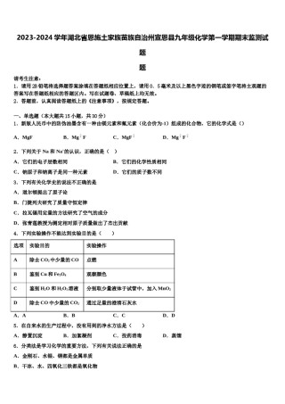 2023-2024学年湖北省恩施土家族苗族自治州宣恩县九年级化学第一学期期末监测试题含解析.doc