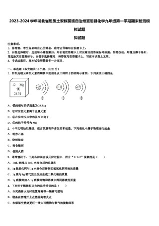 2023-2024学年湖北省恩施土家族苗族自治州宣恩县化学九年级第一学期期末检测模拟试题含解析.doc