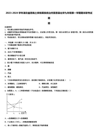 2023-2024学年湖北省恩施土家族苗族自治州宣恩县化学九年级第一学期期末联考试题含解析.doc