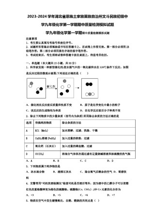 2023-2024学年湖北省恩施土家族苗族自治州文斗民族初级中学九年级化学第一学期期中质量检测模拟试题含解析.doc