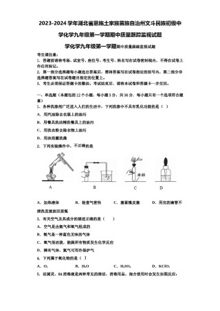 2023-2024学年湖北省恩施土家族苗族自治州文斗民族初级中学化学九年级第一学期期中质量跟踪监视试题含解析.doc