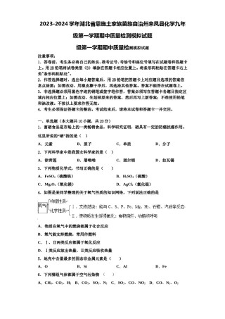 2023-2024学年湖北省恩施土家族苗族自治州来凤县化学九年级第一学期期中质量检测模拟试题含解析.doc