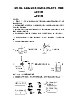 2023-2024学年湖北省恩施州东城中学化学九年级第一学期期中联考试题含解析.doc