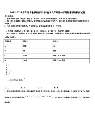 2023-2024学年湖北省恩施州利川市化学九年级第一学期期末联考模拟试题含解析.doc