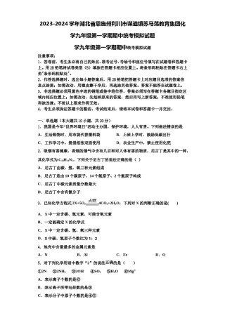2023-2024学年湖北省恩施州利川市谋道镇苏马荡教育集团化学九年级第一学期期中统考模拟试题含解析.doc