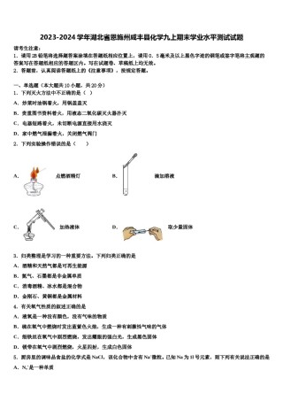 2023-2024学年湖北省恩施州咸丰县化学九上期末学业水平测试试题含解析.doc