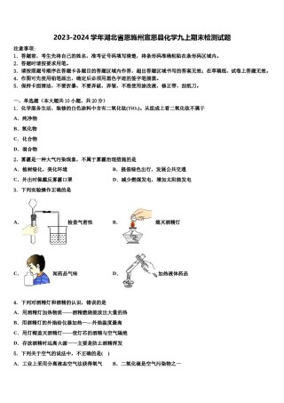 2023-2024学年湖北省恩施州宣恩县化学九上期末检测试题含解析.doc