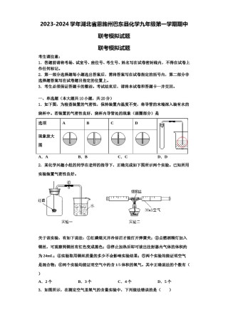 2023-2024学年湖北省恩施州巴东县化学九年级第一学期期中联考模拟试题含解析.doc