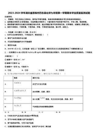 2023-2024学年湖北省恩施州巴东县化学九年级第一学期期末学业质量监测试题含解析.doc