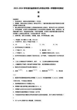 2023-2024学年湖北省恩施市九年级化学第一学期期中经典试题含解析.doc