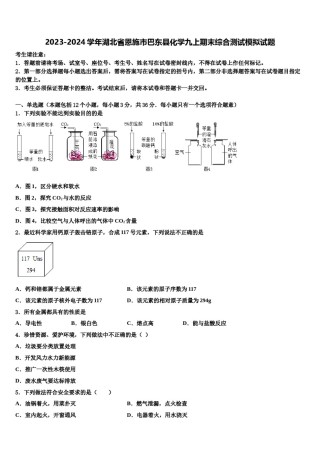 2023-2024学年湖北省恩施市巴东县化学九上期末综合测试模拟试题含解析.doc
