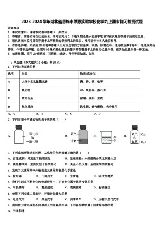 2023-2024学年湖北省恩施市思源实验学校化学九上期末复习检测试题含解析.doc