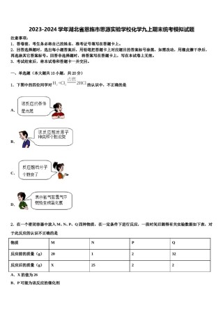 2023-2024学年湖北省恩施市思源实验学校化学九上期末统考模拟试题含解析.doc