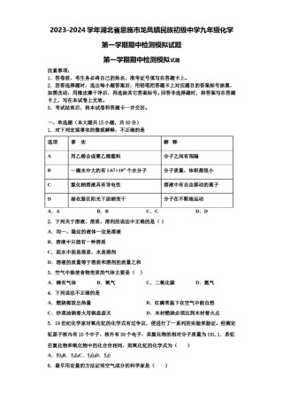 2023-2024学年湖北省恩施市龙凤镇民族初级中学九年级化学第一学期期中检测模拟试题含解析.doc