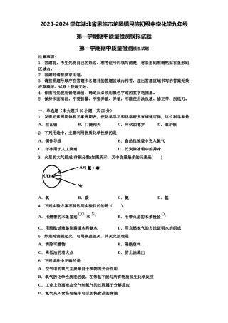 2023-2024学年湖北省恩施市龙凤镇民族初级中学化学九年级第一学期期中质量检测模拟试题含解析.doc