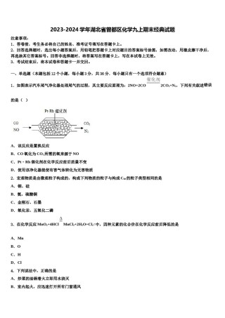 2023-2024学年湖北省曾都区化学九上期末经典试题含解析.doc