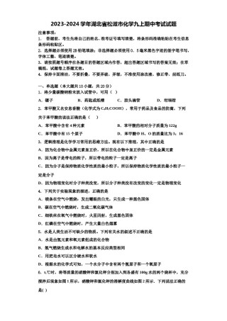 2023-2024学年湖北省松滋市化学九上期中考试试题含解析.doc
