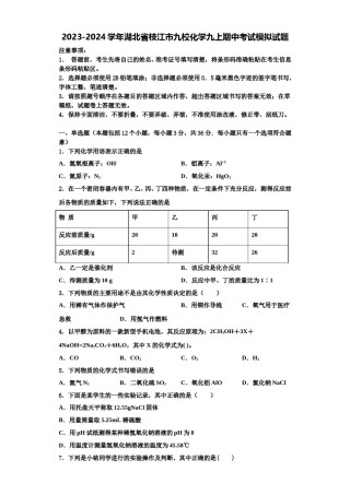 2023-2024学年湖北省枝江市九校化学九上期中考试模拟试题含解析.doc