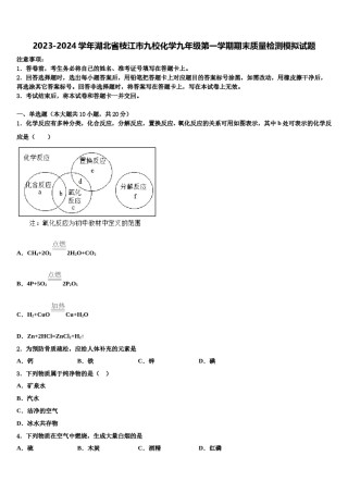 2023-2024学年湖北省枝江市九校化学九年级第一学期期末质量检测模拟试题含解析.doc