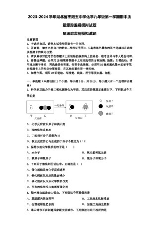 2023-2024学年湖北省枣阳五中学化学九年级第一学期期中质量跟踪监视模拟试题含解析.doc