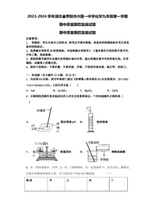 2023-2024学年湖北省枣阳市兴隆一中学化学九年级第一学期期中质量跟踪监视试题含解析.doc