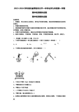 2023-2024学年湖北省枣阳市太平一中学化学九年级第一学期期中检测模拟试题含解析.doc