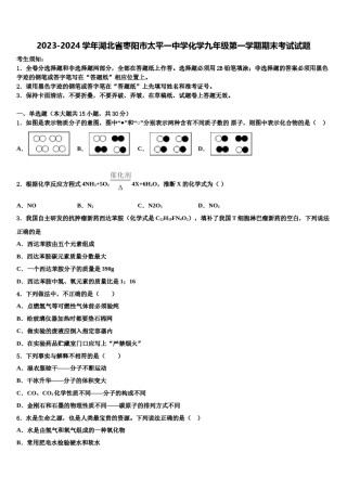 2023-2024学年湖北省枣阳市太平一中学化学九年级第一学期期末考试试题含解析.doc